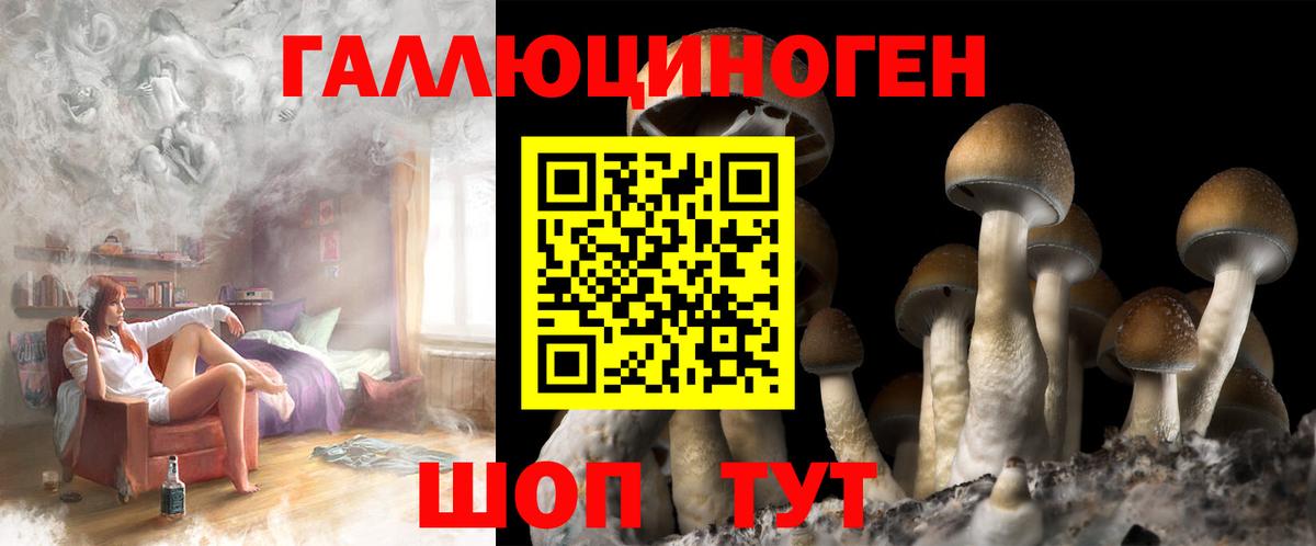 Псилоцибиновые грибы Magic Shrooms Новочебоксарск